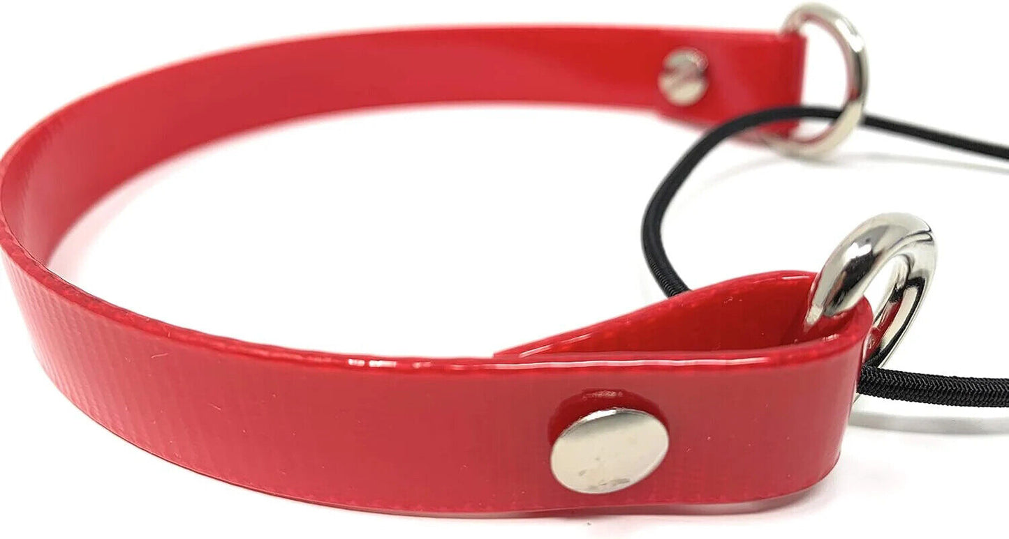 Sparky Pet Co - 1" Surefit ECollar Replacement Strap - Bungee Dog Collar - 8 Colors