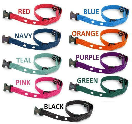 (2) - 3/4" Nylon 2 Hole 1.25 Dog Fence Collar Receiver Strap SPORTDOG SDF-R (Bundle)