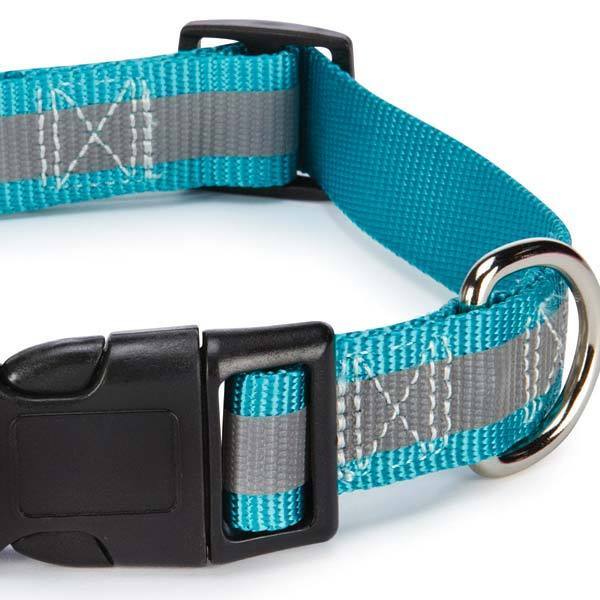 Guardian Gear Reflective 4 Ft Lead & 6-10" 3/8" Collar Gift Set Free Greenies
