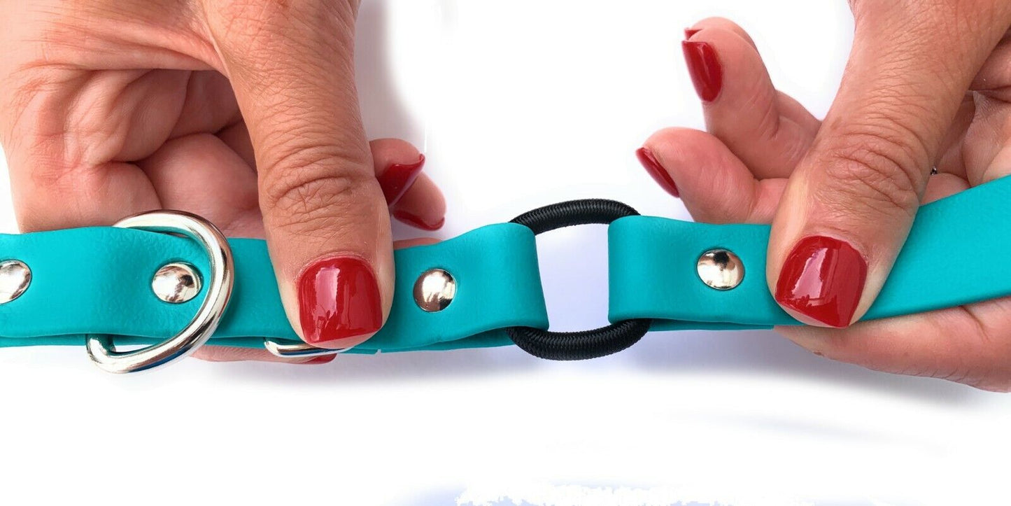 Sparky Pet Co - 3/4" Zeus ECollar Replacement Strap - Bungee Loop Dog Collar Biothane - 7 Colors