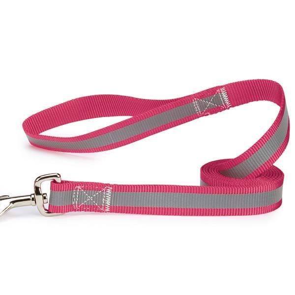 Guardian Gear Reflective 4 Ft Lead & 6-10" 3/8" Collar Gift Set Free Greenies