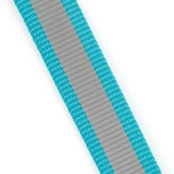 Guardian Gear Reflective 4 Ft Lead 3/8" 6-10" Collar Gift Set & Free Greenies