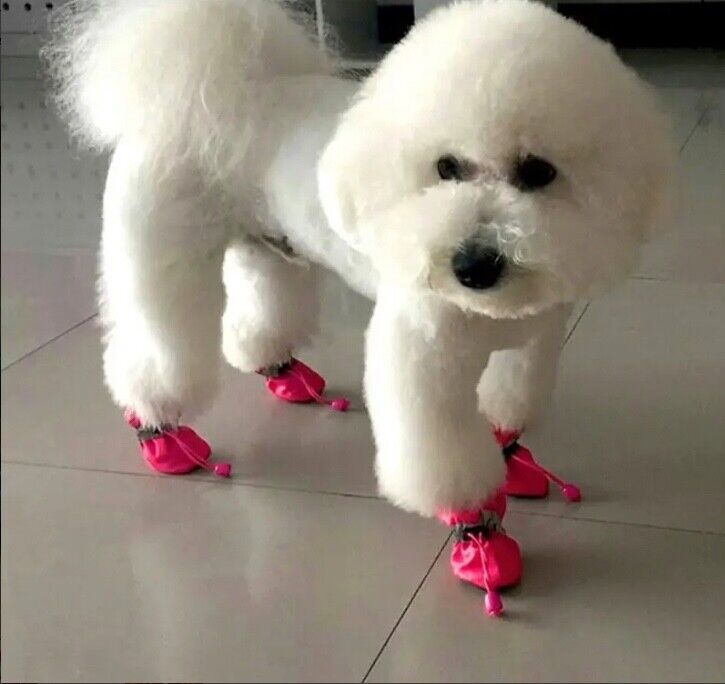4Pcs/Set Warm Winter Pet Dog Boots!