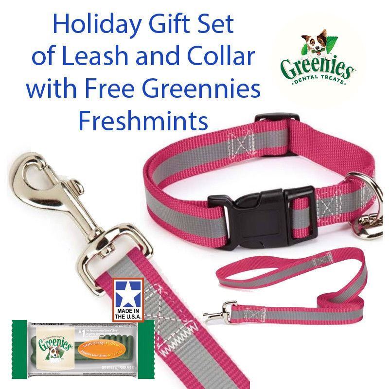 Guardian Gear Reflective 6 ft Leash 18-26 " Collar Gift Set with Free Greenies