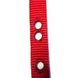 Heavy Duty 1" Nylon Containment Replacement Strap 3 Non Consecutive Holes - Red