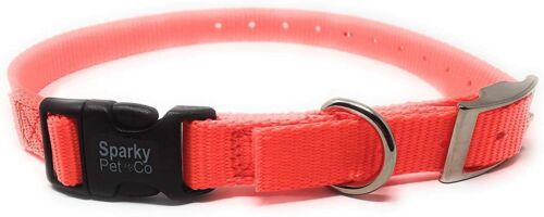 1" Quick Snap Double Buckle Replacement E Collar Dog Strap, Black