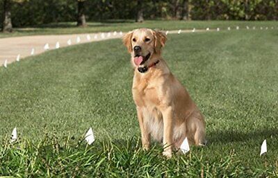 Sparky Pet Co Dog Fence Receiver Heavy Duty Replacement Strap 1" 2 Hole 1.25 - Teal