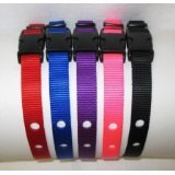 Sparky Pet Co 3/4" 2 Hole Nylon Replacement Receiver Strap 1.25 Between Holes - Purple