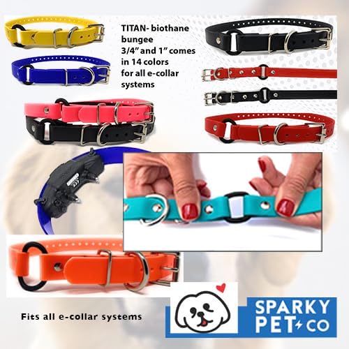 Sparky Pet Co - 3/4" ECollar Replacement Strap - Bungee Loop Dog Collar - Waterproof Biothane - Adjustable - Metal Clasp - for Invisible Fence Systems - 7 Colors