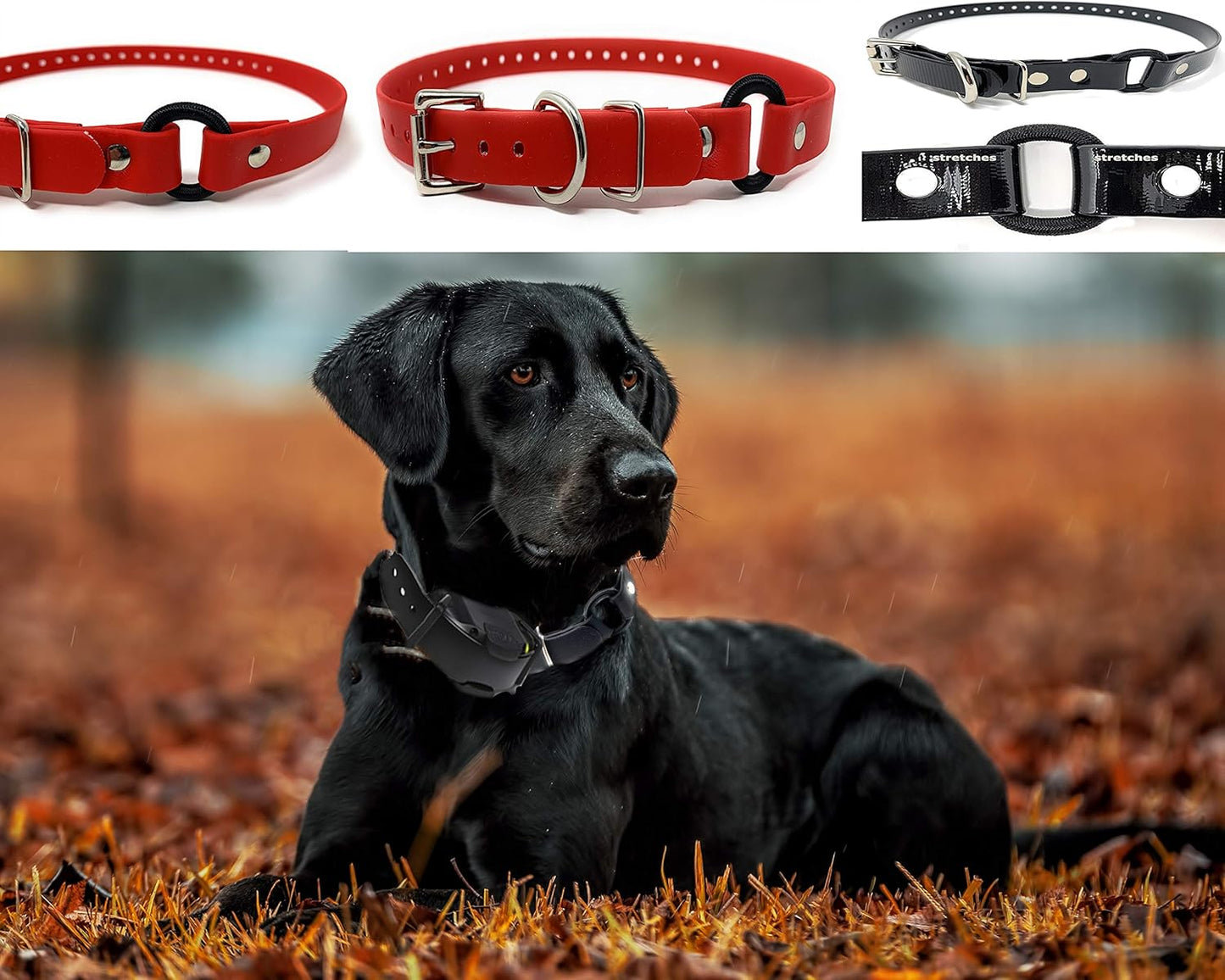 Sparky Pet Co - 1" ECollar Replacement Strap - Bungee Loop Dog Collar - Waterproof Biothane - Adjustable - Metal Clasp - for Invisible Fence Systems - 7 Colors