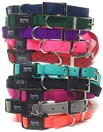 Sparky Pet Co 1" Nylon Double Buckle Replacement E Collar Dog Strap - Neon Pink