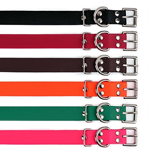 Sparky Pet Co Biothane 3/4" Replacement Straps - Teal