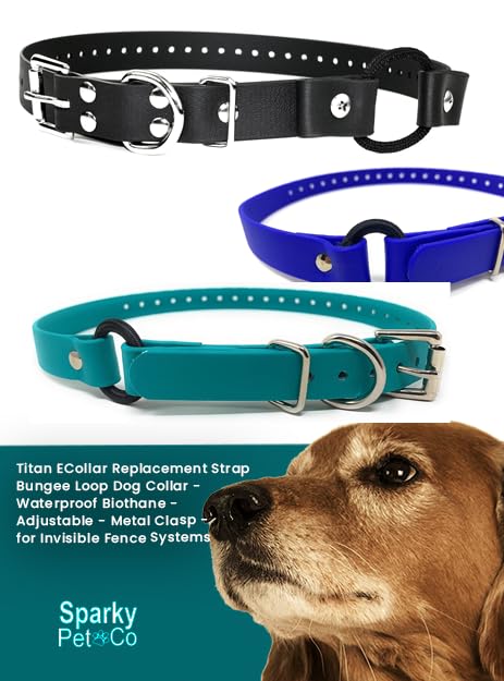 Sparky Pet Co - ECollar Replacement Strap - Bungee Loop Dog Collar - Waterproof Biothane - Adjustable - Metal Clasp - for Invisible Fence Systems (Variants)