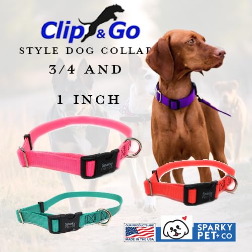 Sparky Pet Co Sturdy Nylon Heavy Duty Clip and Go Dog Collar 3/4" & 1" Sizes