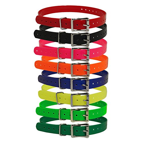 DOGTRA 1" Contact Points Bundle and 3/4" SPC High Flex Replacement Strap - Green