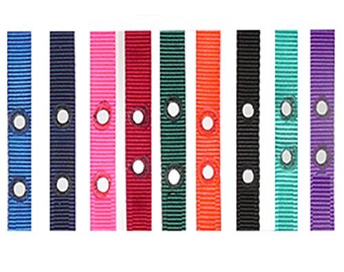 Sparky Pet Co 1" Nylon 2 Hole 1.25 Dog Fence Receiver Replacement Strap - Blue