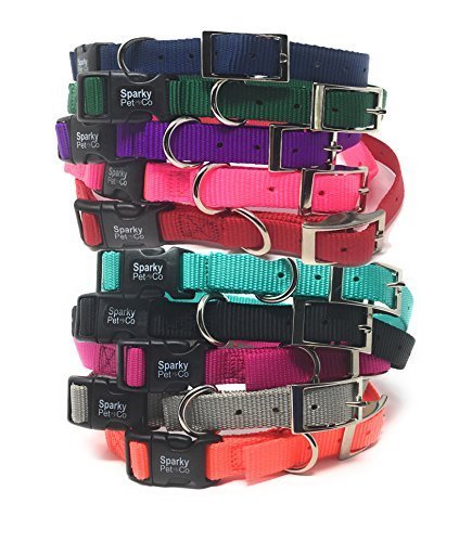 Sparky Pet Co 3/4" / 1" ECollar Replacement Strap - Easy Release Double Buckle Dog Collar - Rugged Nylon - Adjustable - D Ring - Quick Release Metal Clasp - for Invisible Fence Systems (Variants)