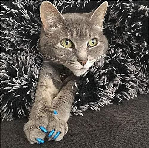 Sparky Pet Co Cat Play Toy Set, 3 Cat Dumbbells, Catnip Toy, Play Fish, Roll Around Toy
