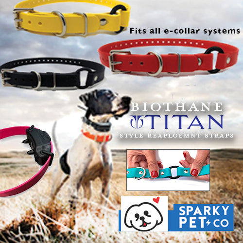 Sparky Pet Co - 3/4" ECollar Replacement Strap - Bungee Loop Dog Collar - Waterproof Biothane - Adjustable - Metal Clasp - for Invisible Fence Systems - 7 Colors