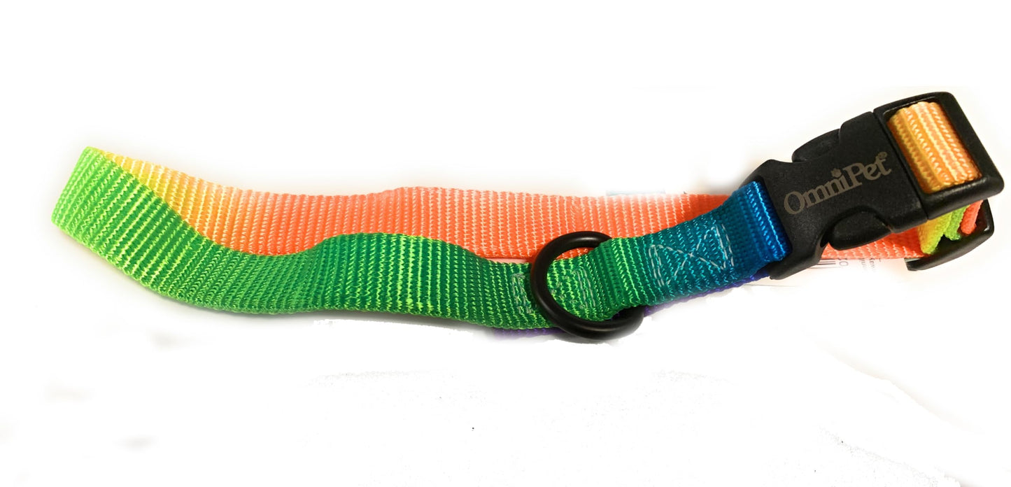 Pet Pride Rawhide Dog Treats, Knotted Bones, Braided Chews, Leash, and Collar Set (3/4" Width Leash and 14"-20" Collar)