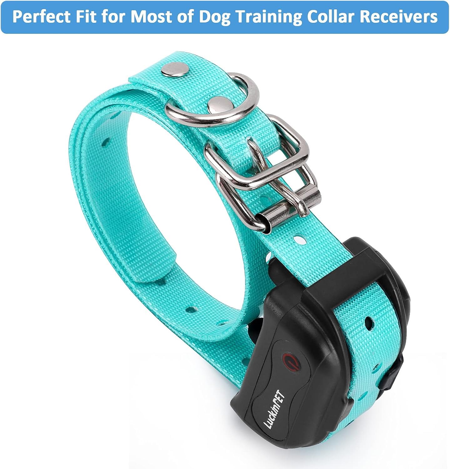 Sparky Pet Co 1" Square Buckle High Flex Replacement Collar - 8 Colors