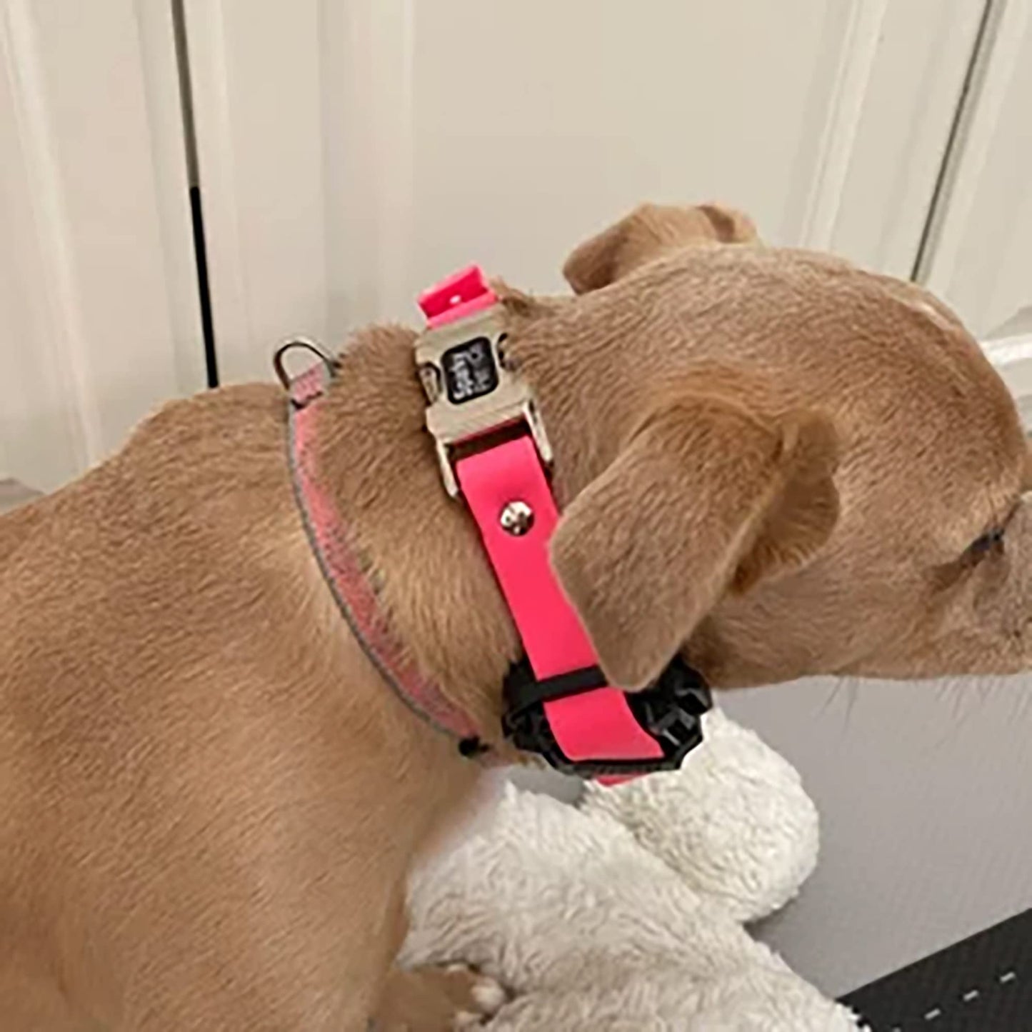 Sparky Pet Co 3/4" Zeus ECollar Replacement Strap Bungee Biothane Double Buckle Metal Clasp (Variants)