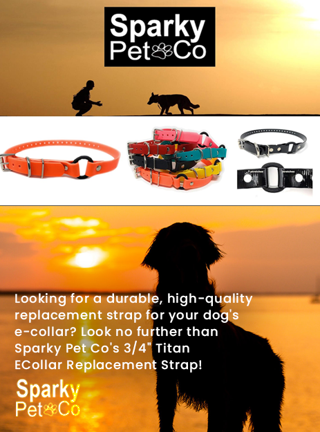 Sparky Pet Co - 3/4" ECollar Replacement Strap - Bungee Loop Dog Collar - Waterproof Biothane - Adjustable - Metal Clasp - for Invisible Fence Systems - 7 Colors