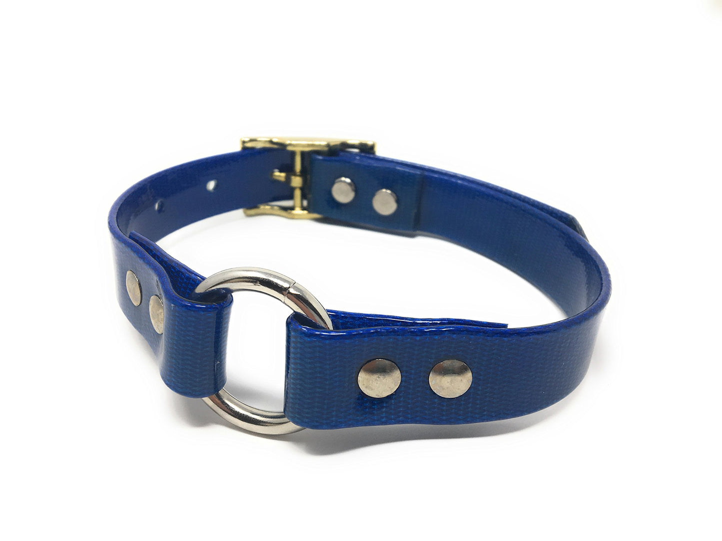 Sparky Pet Co 18" Dog Strap with O Ring - 2 Colors (Blue/Purple)