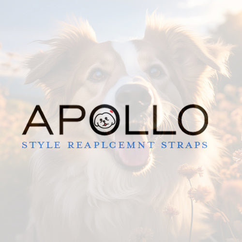 Sparky Pet Co 1" Apollo Biothane ECollar Replacement Strap - Dog Collar - Waterproof