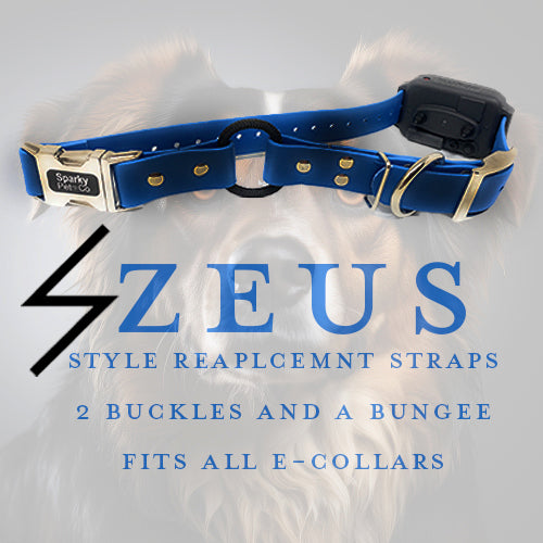 Sparky Pet Co 3/4" Zeus Waterproof Biothane Bungee E Collar Receiver Replacement Strap - Blue