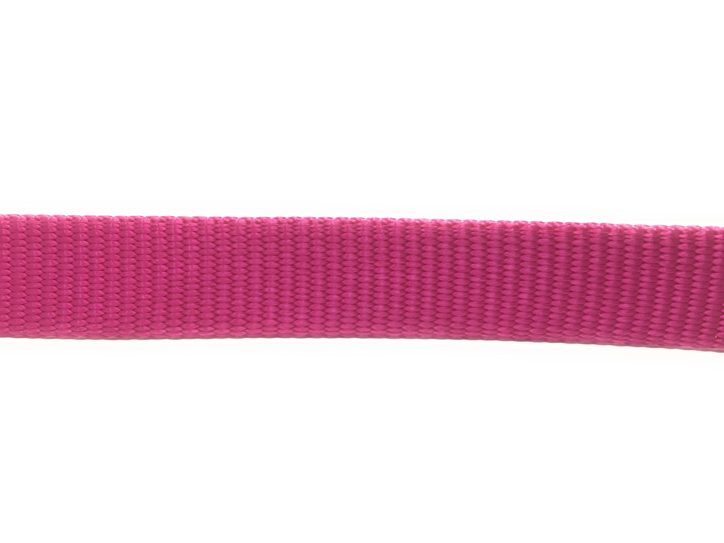 Sparky Pet Co 3/4" Nylon E-Collar Replacement Strap – 2-Hole 1 5/8" Apart – Universal Fit for Dog Fence Systems - Raspberry