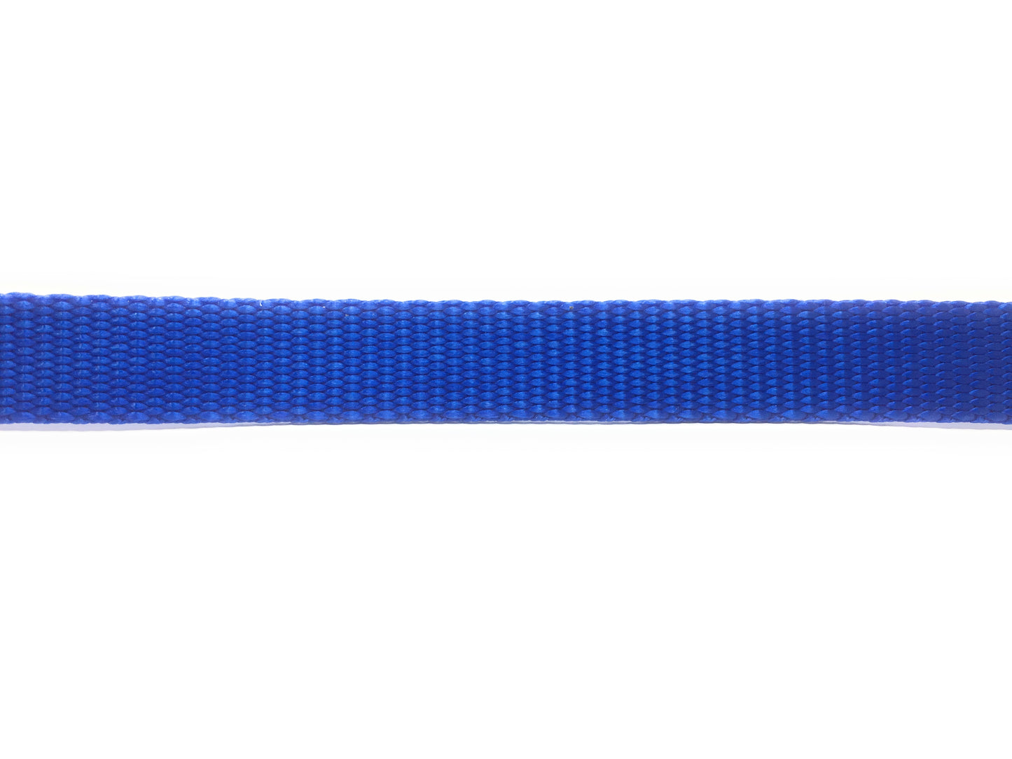 Sparky Pet Co 3/4" Nylon E-Collar Replacement Strap – 2-Hole 1 5/8" Apart – Universal Fit for Dog Fence Systems - Blue