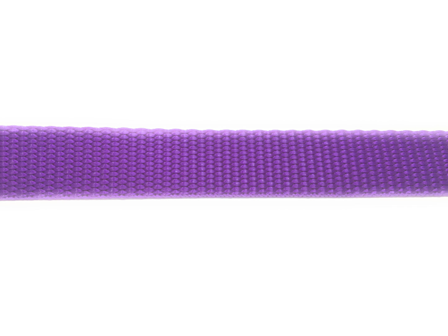 Replacement Dog Collar 3/4" Heavy Duty Nylon, Dual Holes Spaced 1 5/8" - Purple