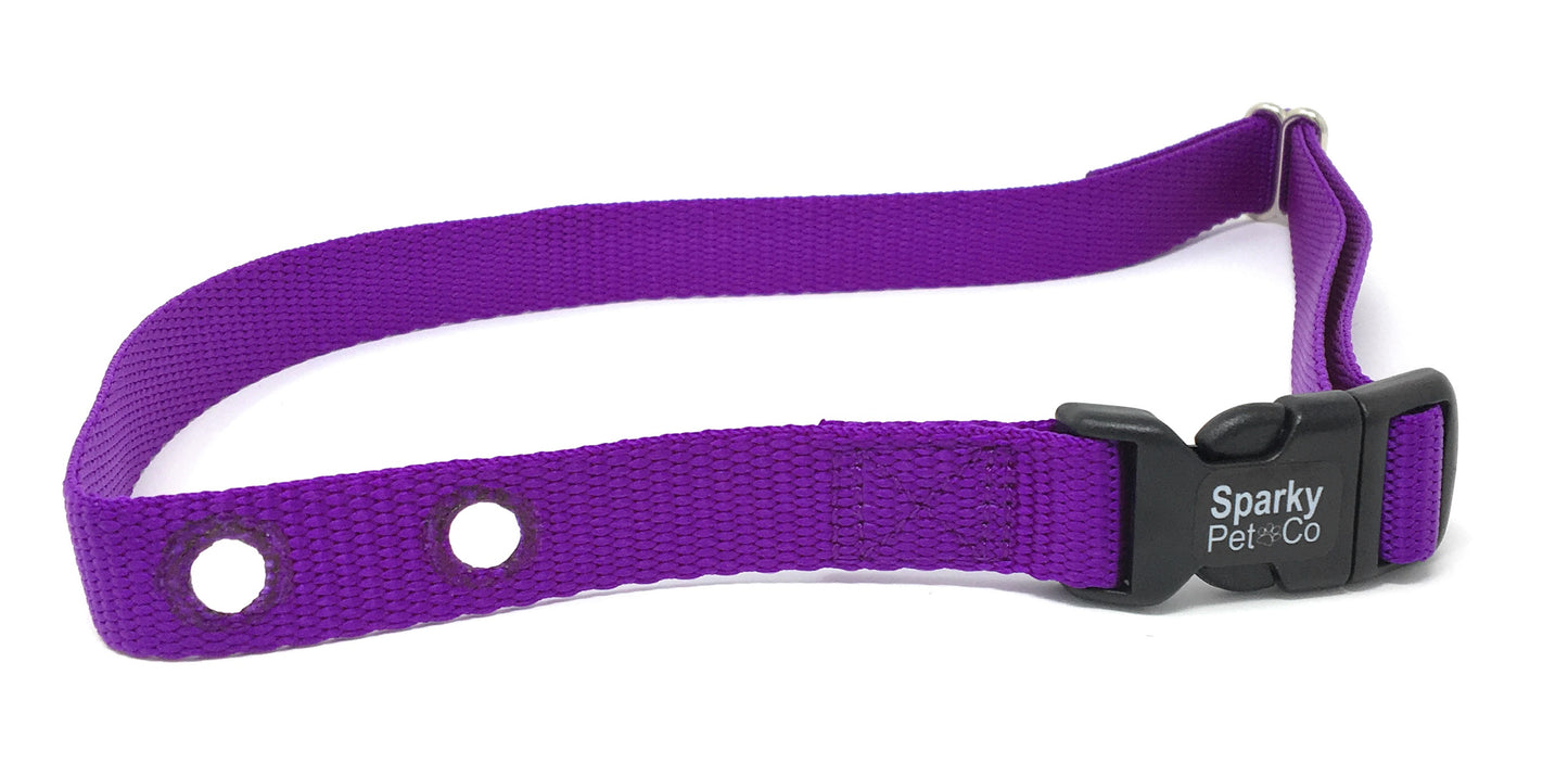 Replacement Dog Collar 3/4" Heavy Duty Nylon, Dual Holes Spaced 1 5/8" - Purple
