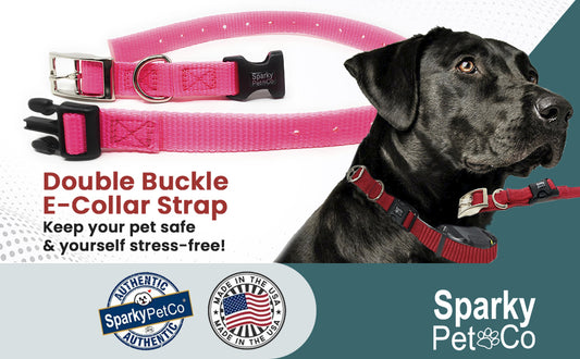 Sparky Pet Co 1" Nylon Double Buckle Replacement E Collar Dog Strap - Neon Pink