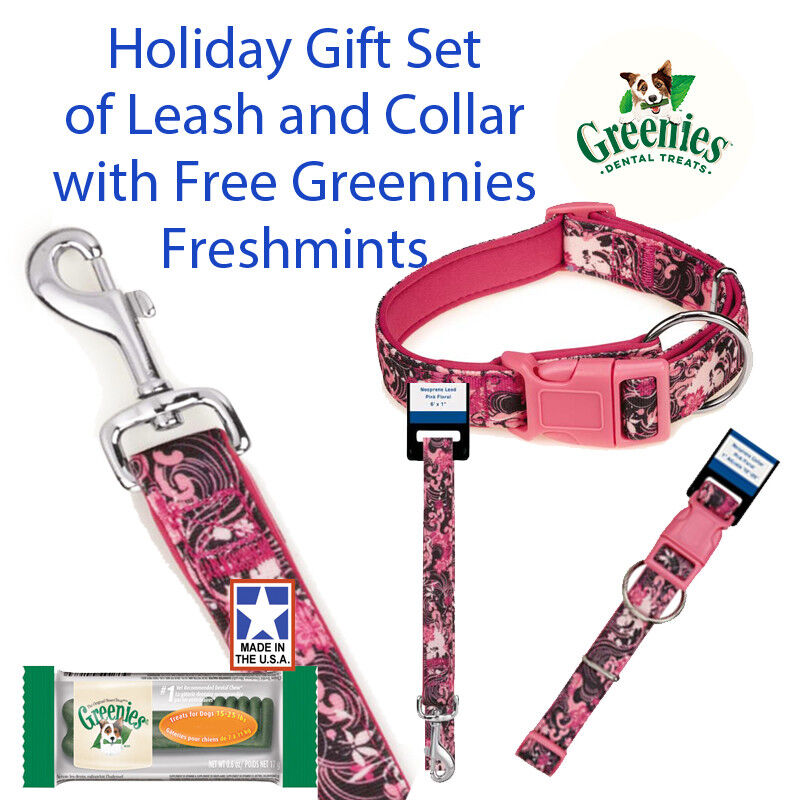 Med. Dog Pink Floral 6 Ft Lead 5/8" 10-16" Collar Gift Set & Free Greenies