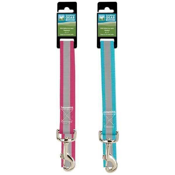 Guardian Gear Reflective 4 Ft Lead 14-20" 5/8" Collar Gift Set & Free Greenies