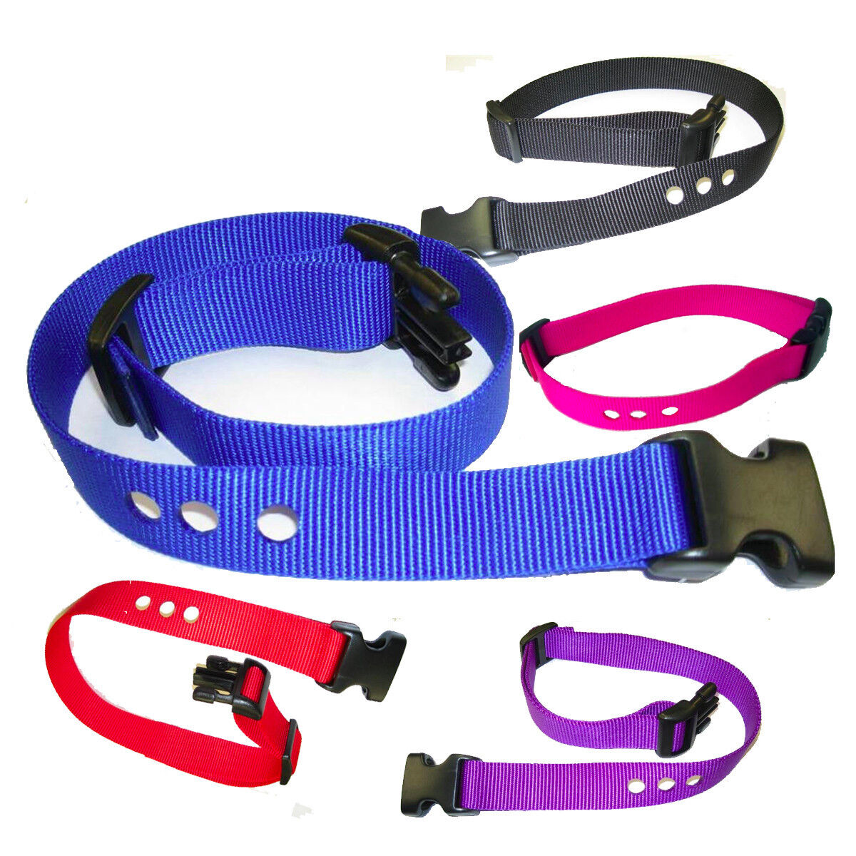 1 Replacement Strap 3 Consecutive Hole Nylon Receiver RFA 48 Fits Most Bark Collars Raspberry