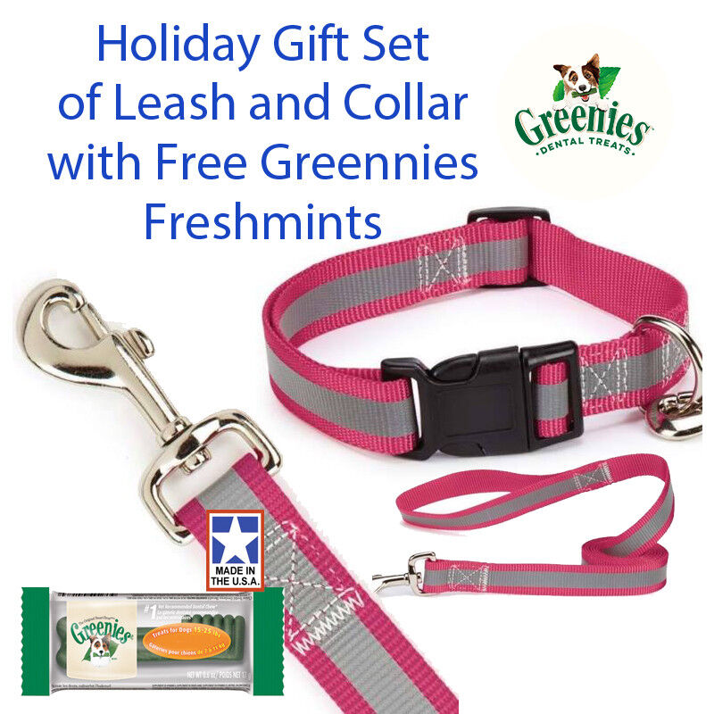 Guardian Gear  Reflective 4 Ft Lead & 6-10"  3/8" Collar Gift Set Free Greenies