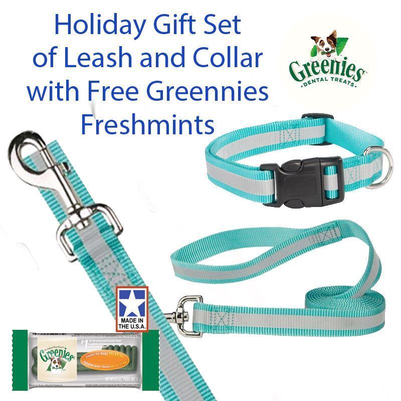 Guardian Gear Reflective 4 Ft Lead 14-20" 5/8" Collar Gift Set & Free Greenies