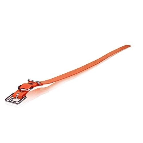 Dog Strap Size: 1" W x 30" D, Color: Orange