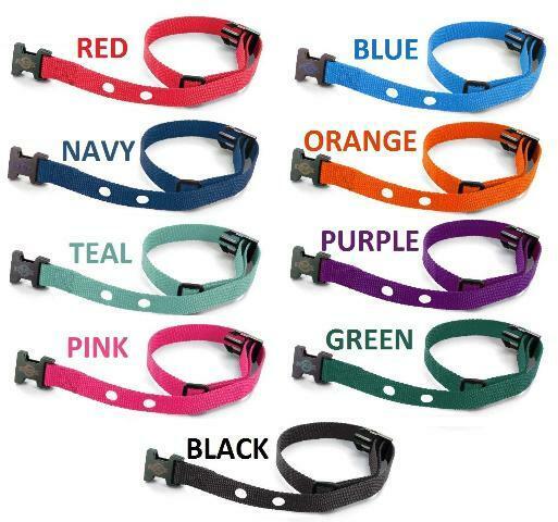 (2) - 3/4" Nylon 2 Hole 1.25 Dog Fence Collar Receiver  Strap SPORTDOG SDF-R (Bundle)