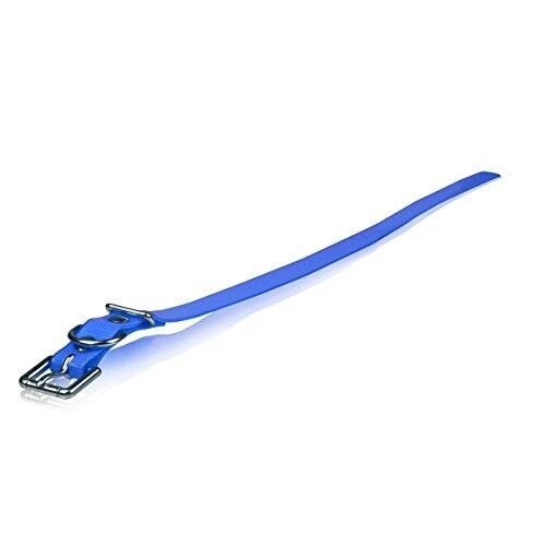 Dog Strap Size: 3/4" W x 28" D, Color: Blue