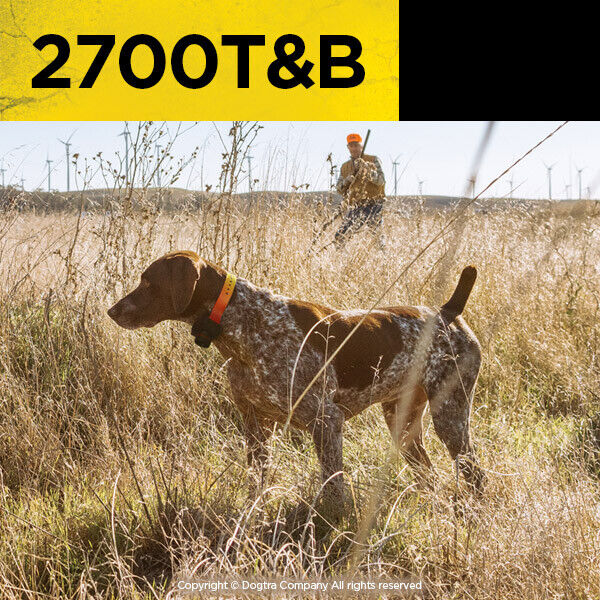 Dogtra 2700T&B Training and Beeper