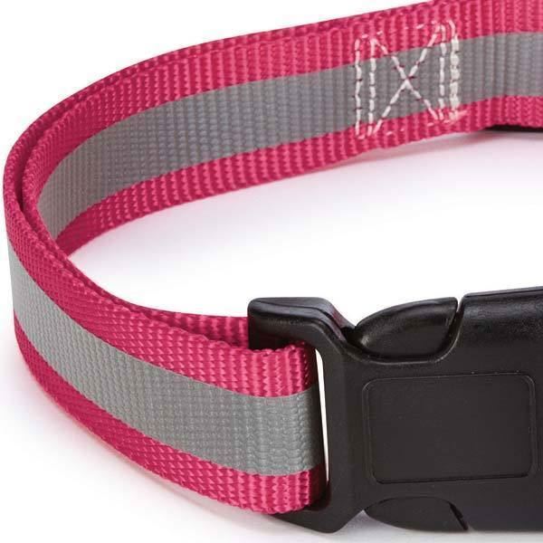 Guardian Gear Reflective 4 Ft Lead 14-20" 5/8" Collar Gift Set & Free Greenies