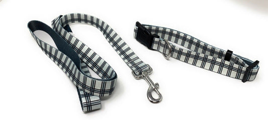 Animal Planet Leash & Collar Set Size Large