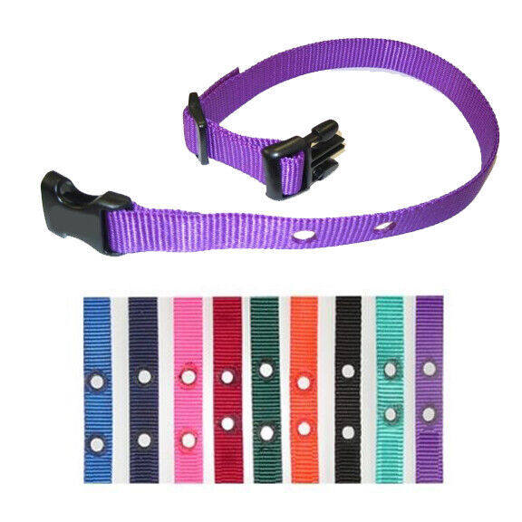 STAY AND PLAY Compatible 3/4 inch replacement collar strap- 2 Hole 1.25" Apart