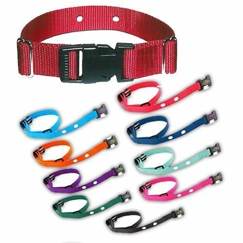 3/4" 2 hole replacement collar strap with Safari flea comb