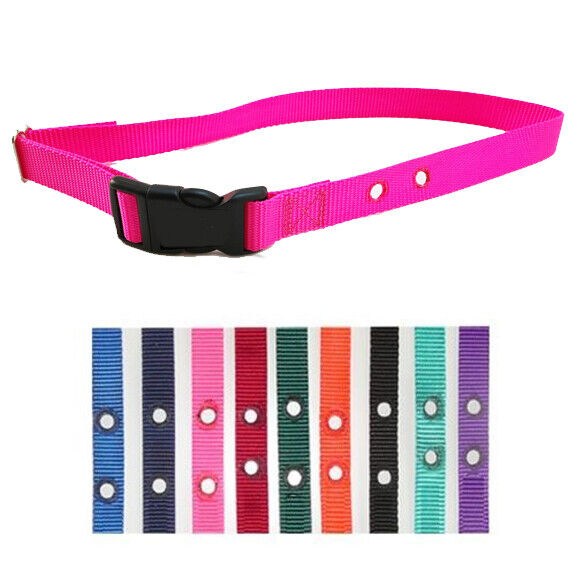 STAY AND PLAY Compatible 3/4 inch replacement collar strap- 2 Hole 1.25" Apart