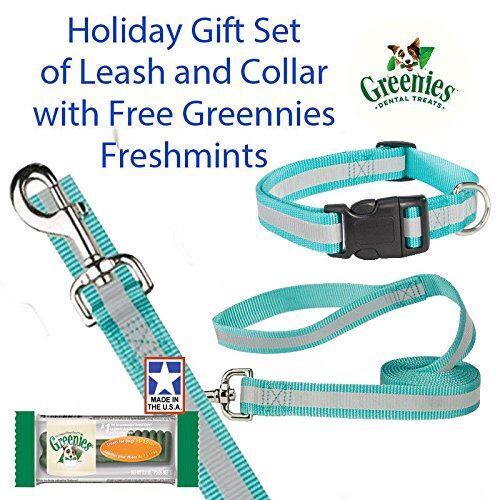 Guardian Gear Reflective Bluebird Large Dog 4 FT. Leash/10-16 Collar Set With Fr